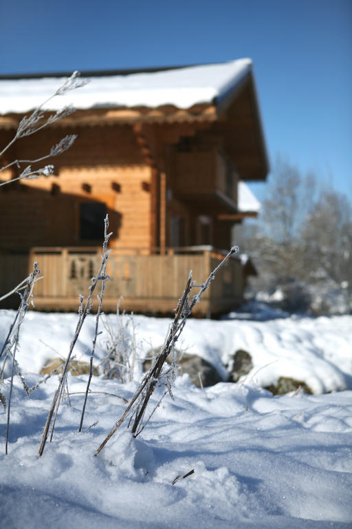 Residence Nemea Les Chalets Du Bois De Champelle Morillon Zewnętrze zdjęcie